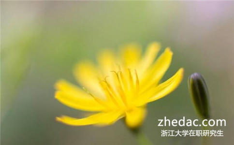 畢業幾年可以報考浙江大學在職研究生