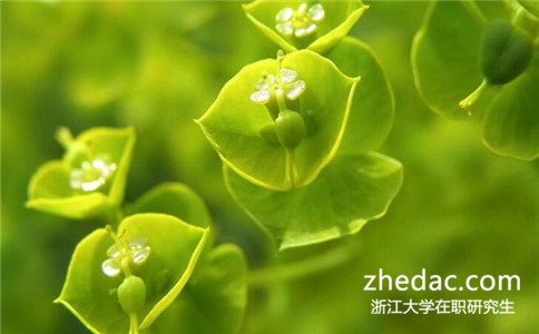 浙江大學(xué)在職研究生學(xué)費(fèi)貴嗎