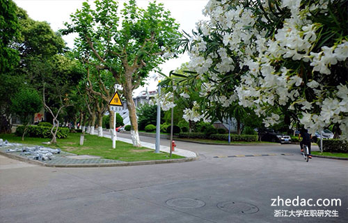 浙江大學在職研究生可以換專業嗎?