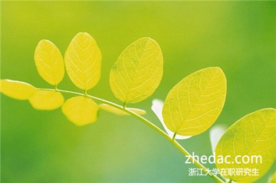 浙江大學在職研究生的學習辛苦嗎？