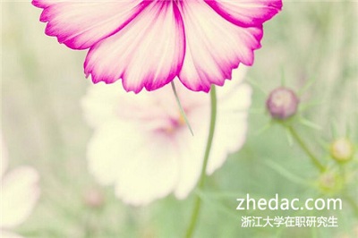 浙江大學同等學力申碩畢業后可以獲得畢業證書嗎？