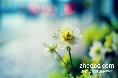 2018年報考浙江大學在職研究生有沒有用？