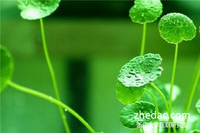 浙江大學(xué)在職研究生畢業(yè)可以獲得雙證嗎？