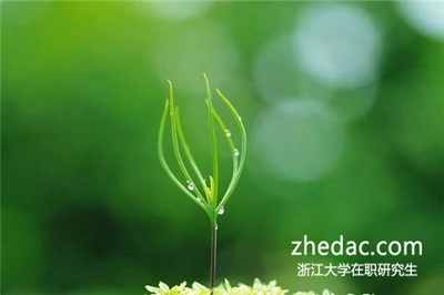 浙江大學在職研究生考試沒通過能補考嗎?